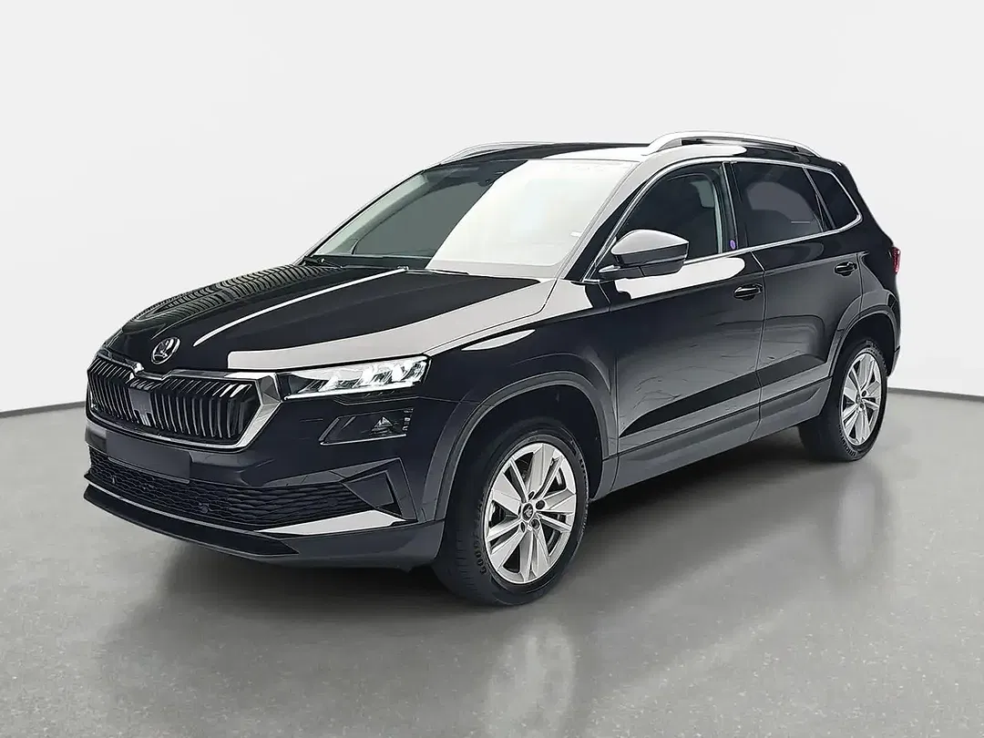 Skoda Karoq - Thumbnail 1