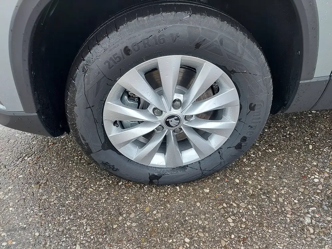Skoda Karoq - Thumbnail 4