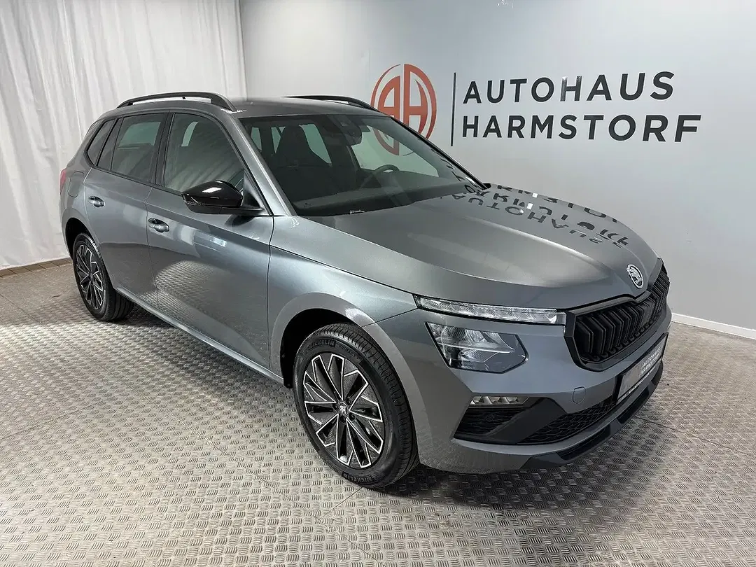 Skoda Kamiq - Thumbnail 8