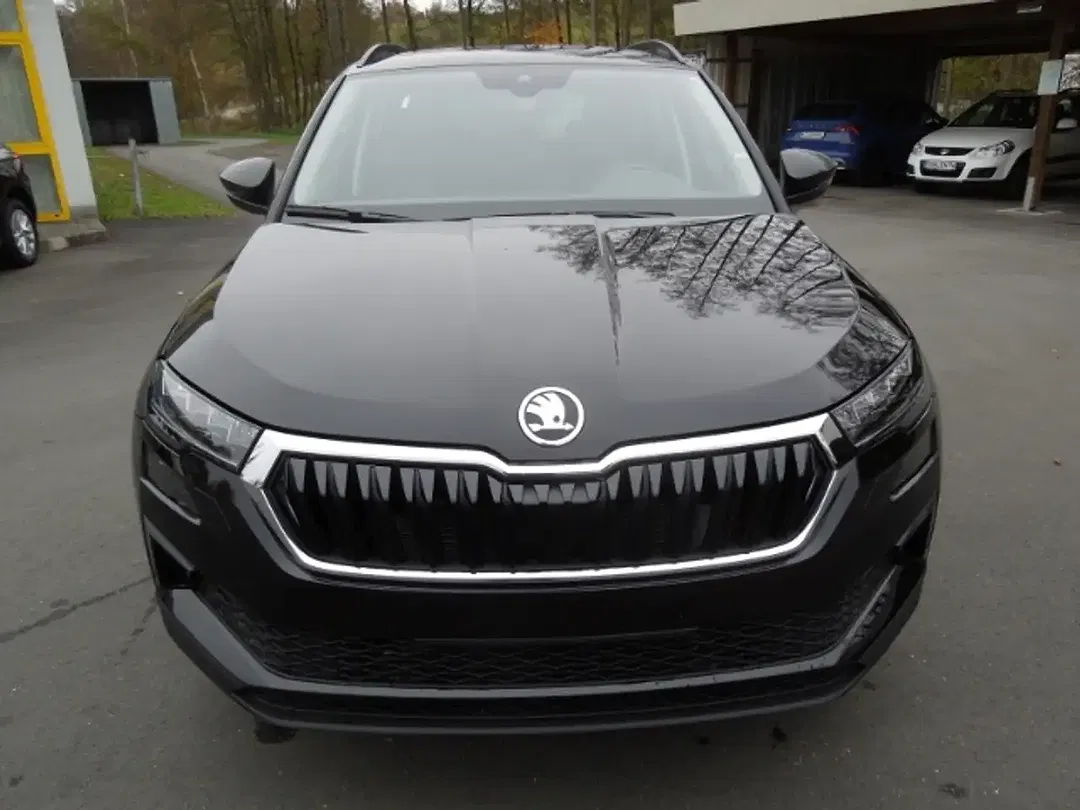 Skoda Karoq - Thumbnail 2