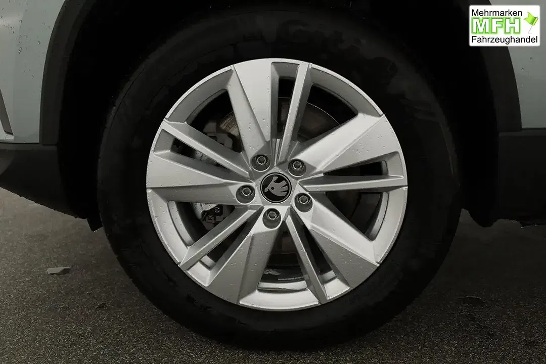 Skoda Karoq - Thumbnail 15