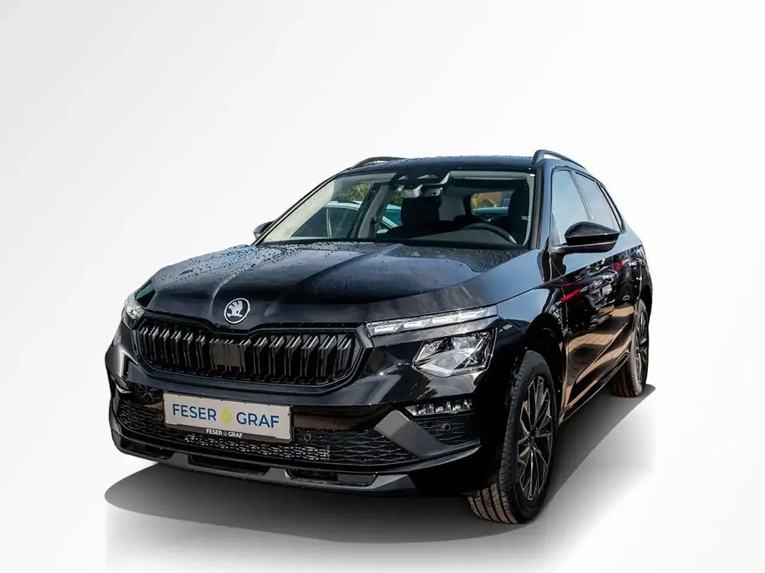 Skoda Kamiq - Thumbnail 11
