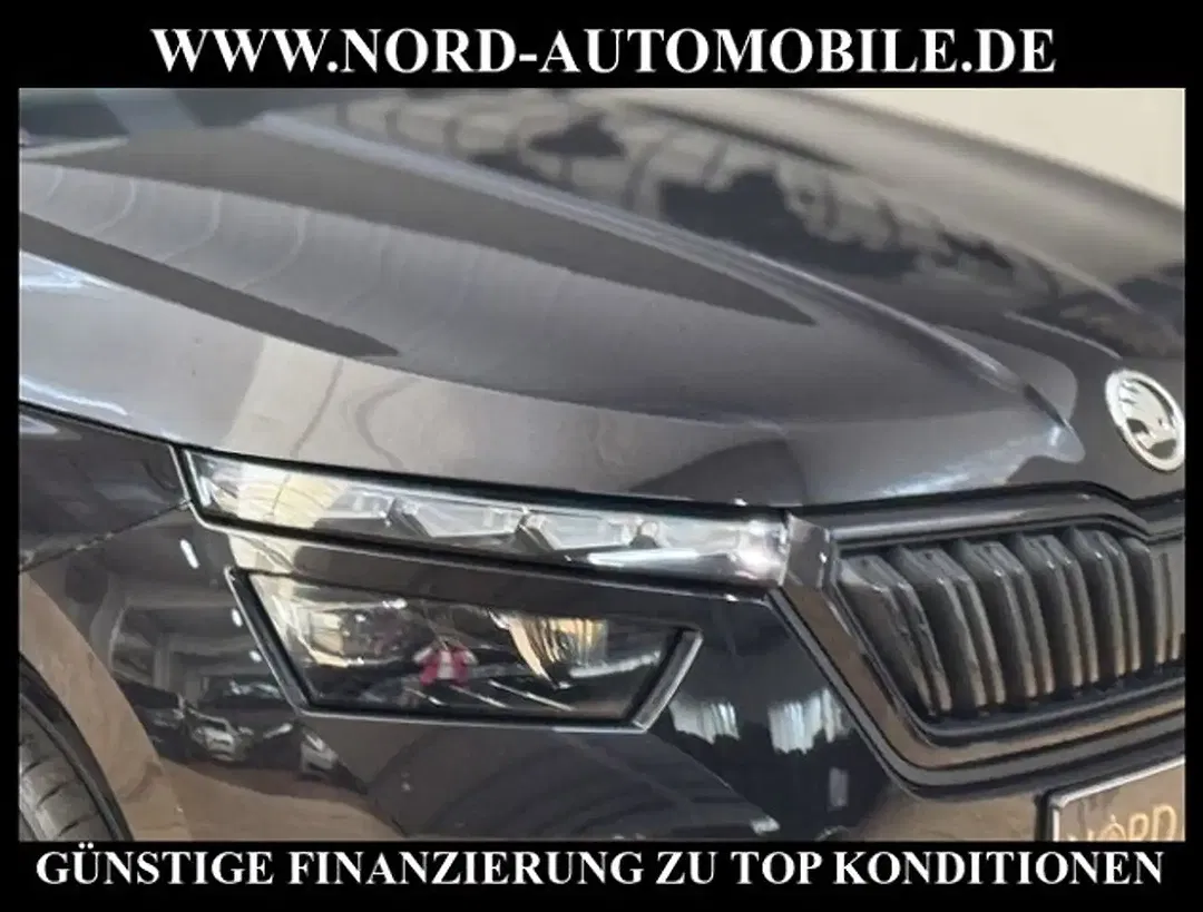 Skoda Kamiq - Thumbnail 11