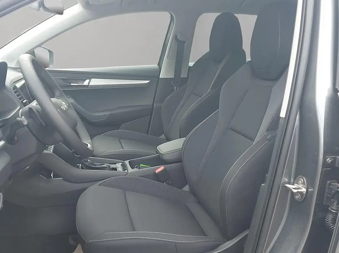 Skoda Karoq - Thumbnail 13