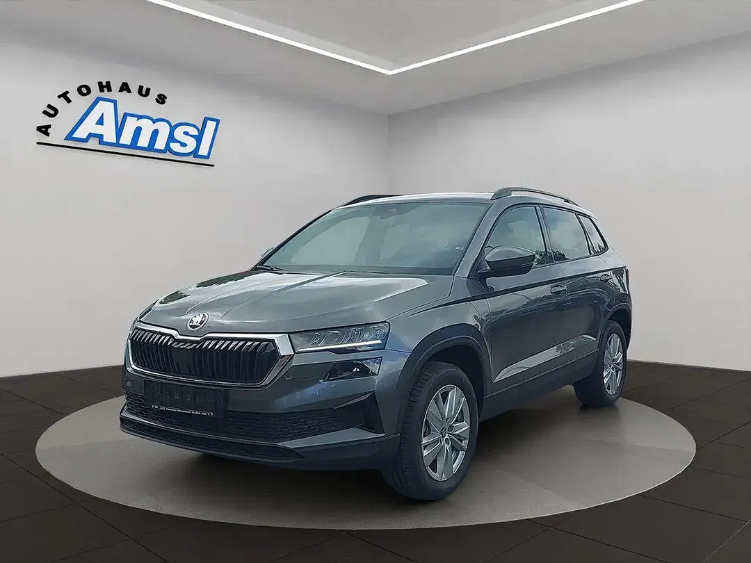 Skoda Karoq - Thumbnail 2
