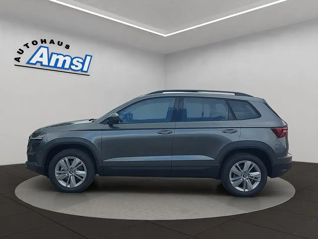 Skoda Karoq - Thumbnail 3