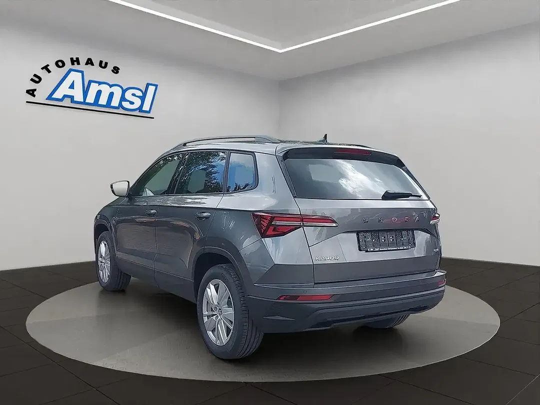 Skoda Karoq - Thumbnail 4