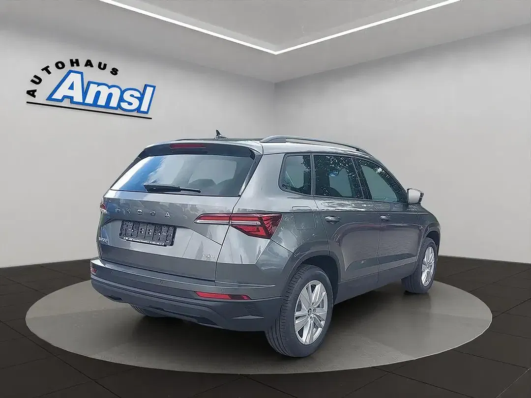 Skoda Karoq - Thumbnail 6