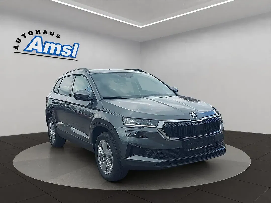 Skoda Karoq - Thumbnail 8