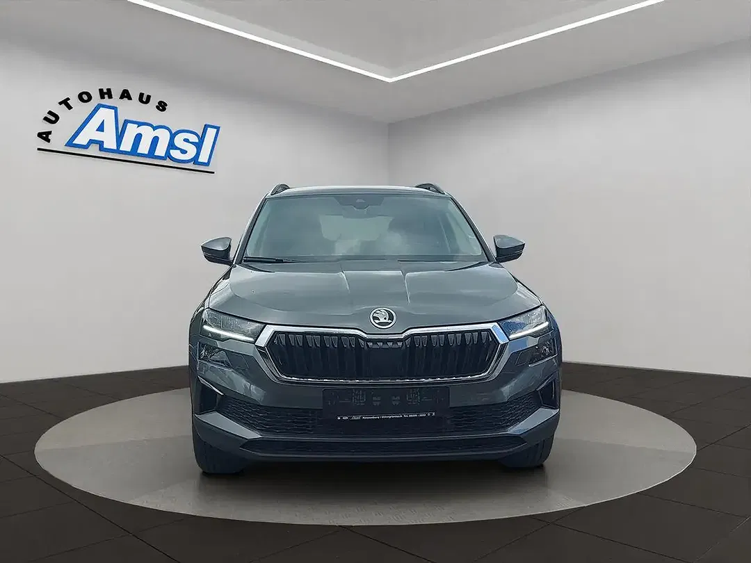 Skoda Karoq - Thumbnail 9