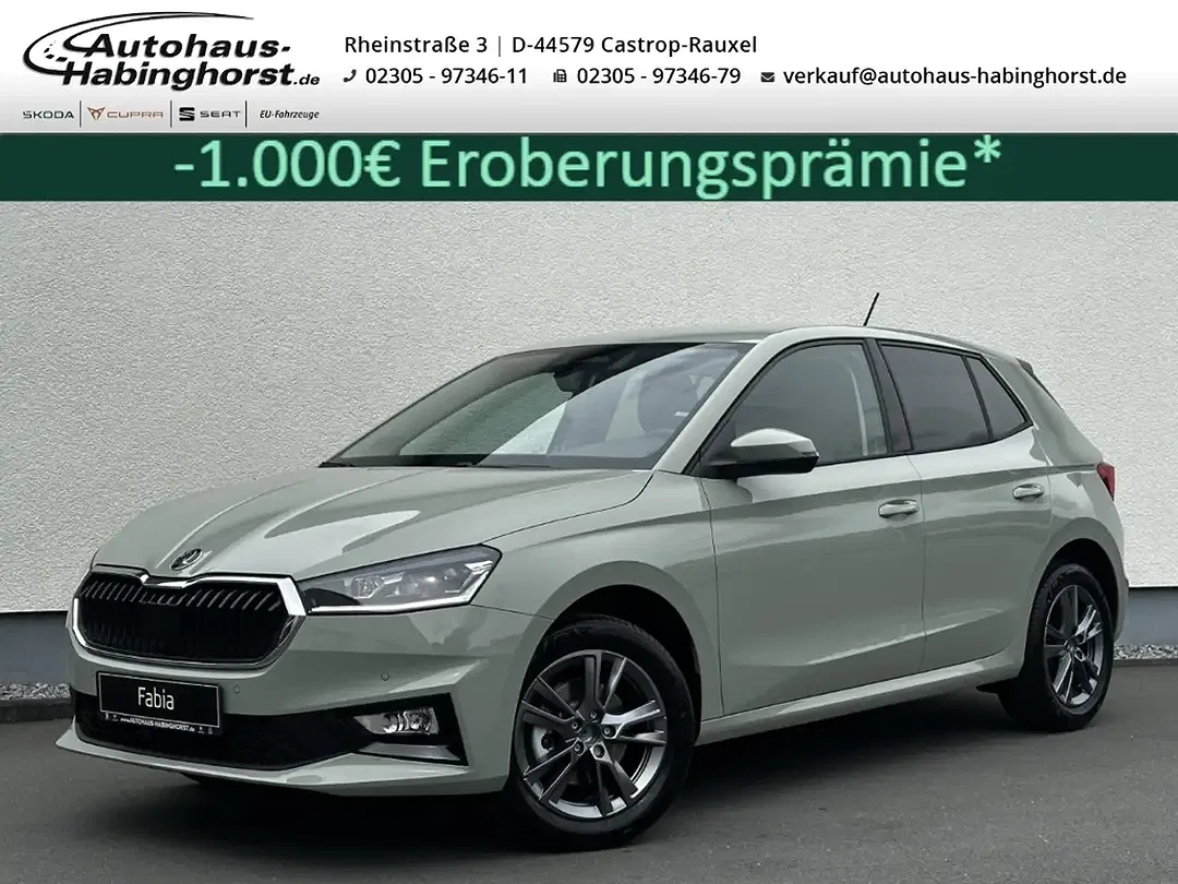 Skoda Fabia - Thumbnail 1