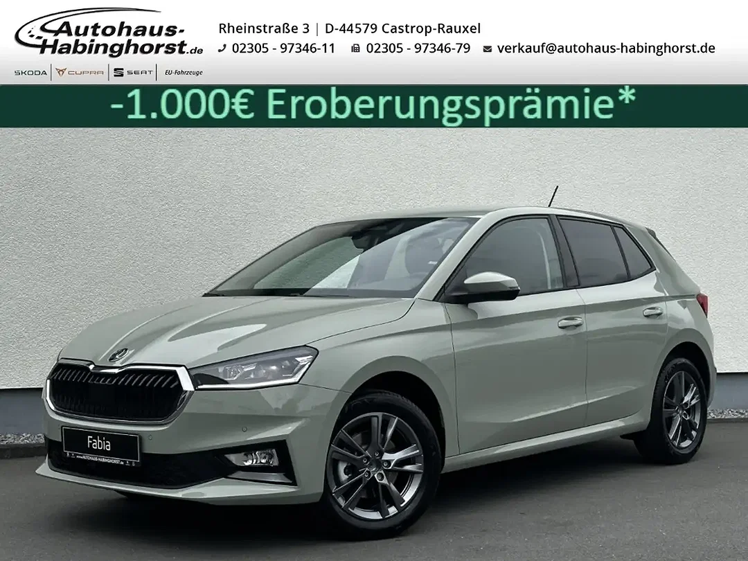 Skoda Fabia - Afbeelding 1