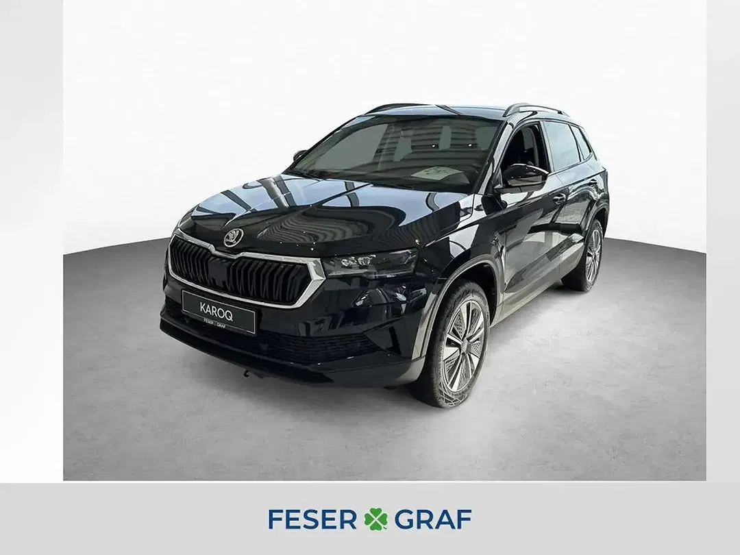Skoda Karoq - Thumbnail 1