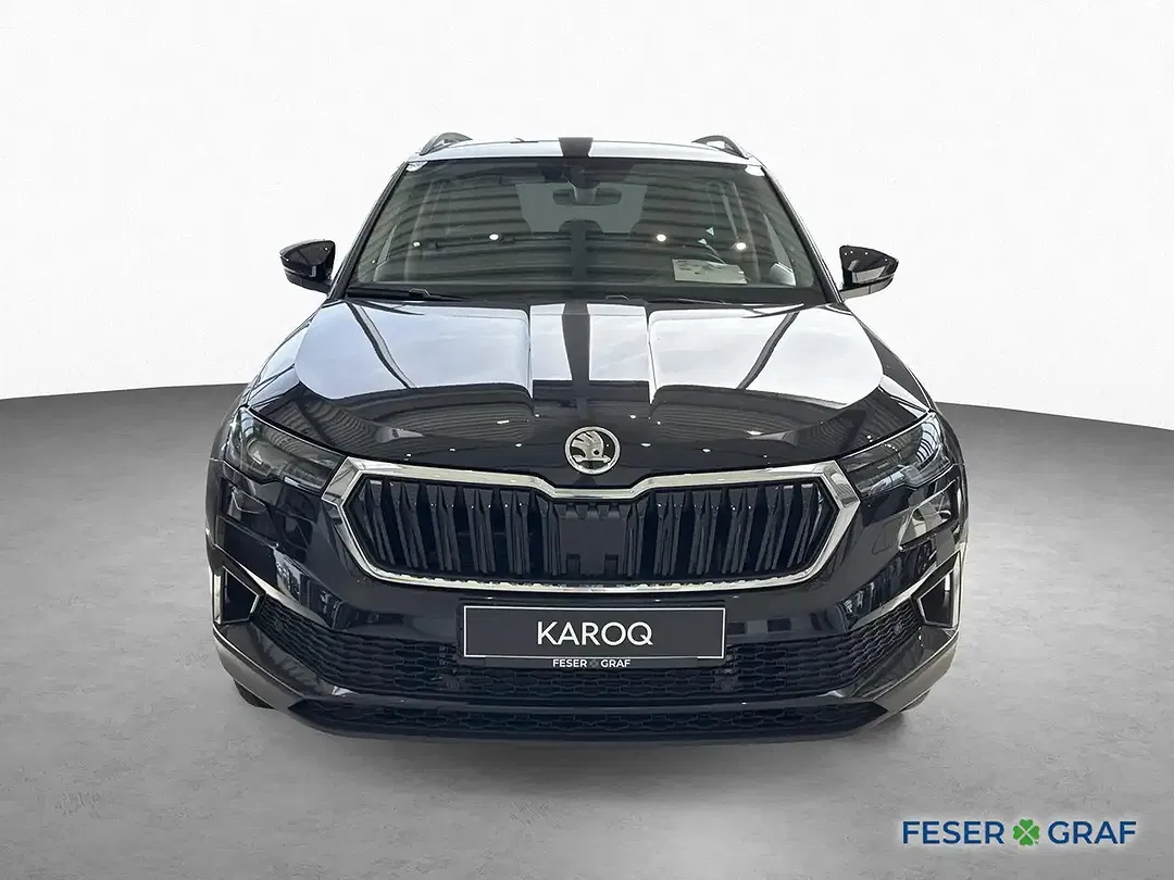 Skoda Karoq - Thumbnail 2