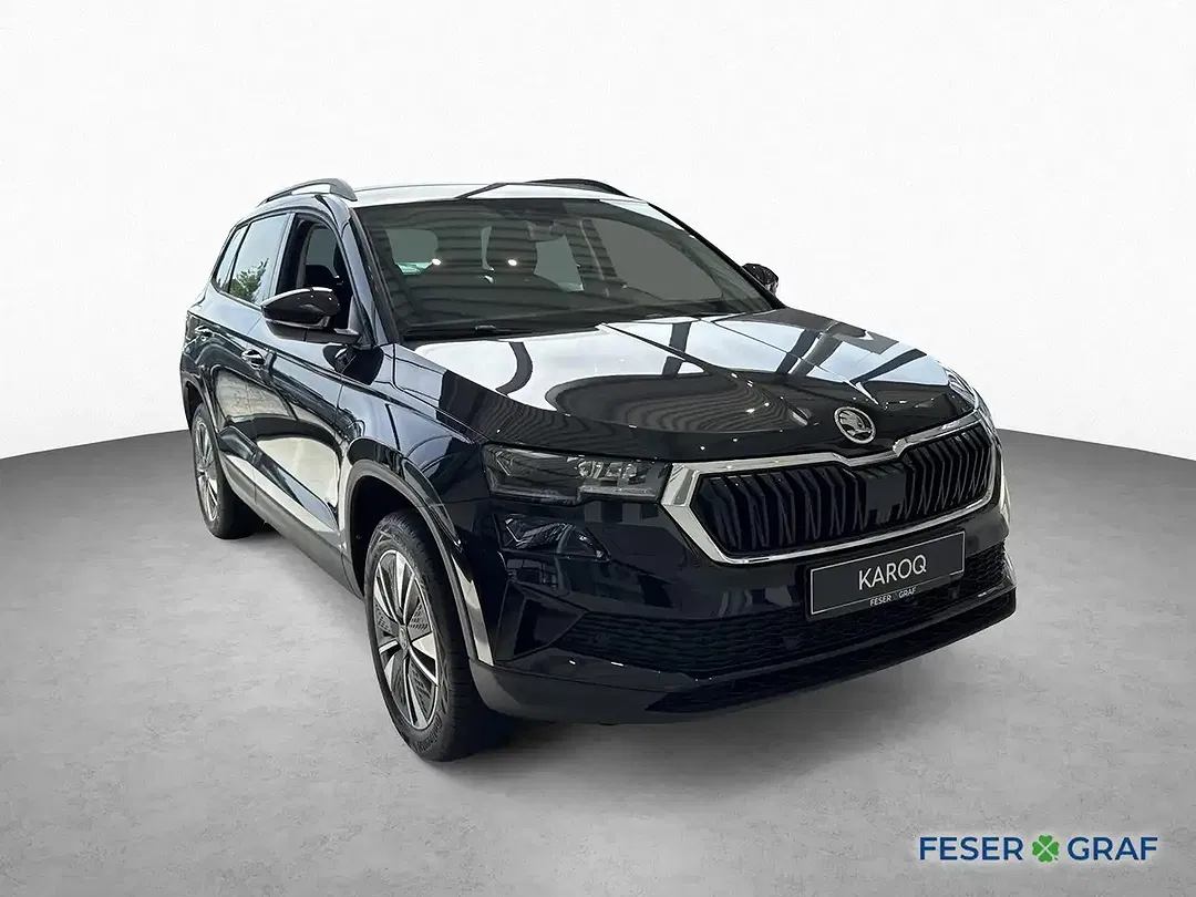 Skoda Karoq - Thumbnail 3