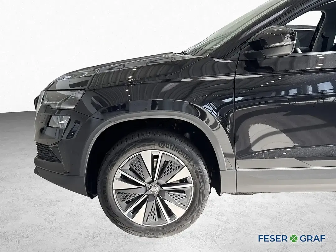 Skoda Karoq - Thumbnail 4
