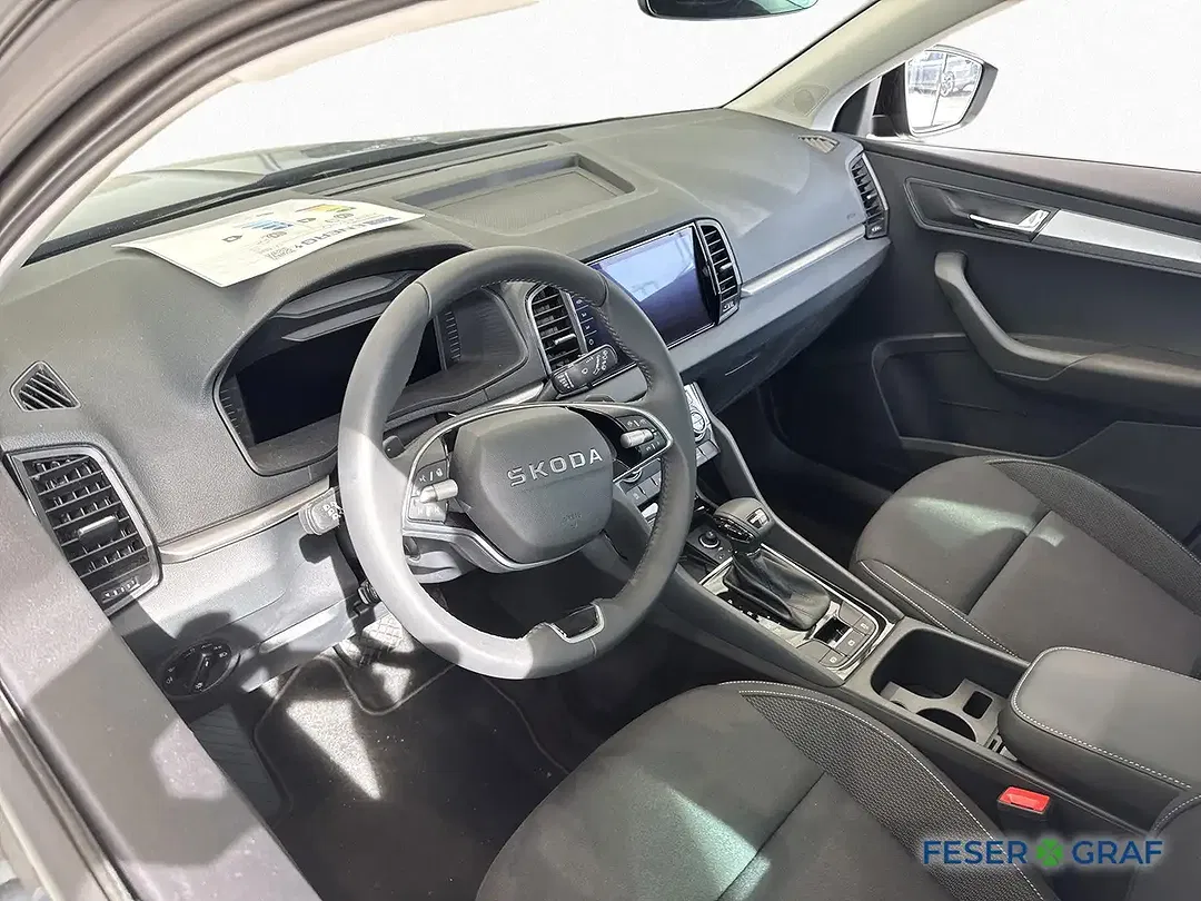Skoda Karoq - Thumbnail 7