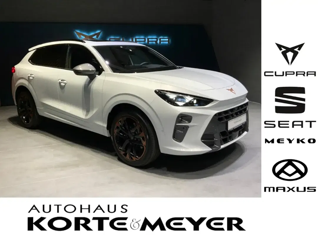 CUPRA Terramar - Thumbnail 1