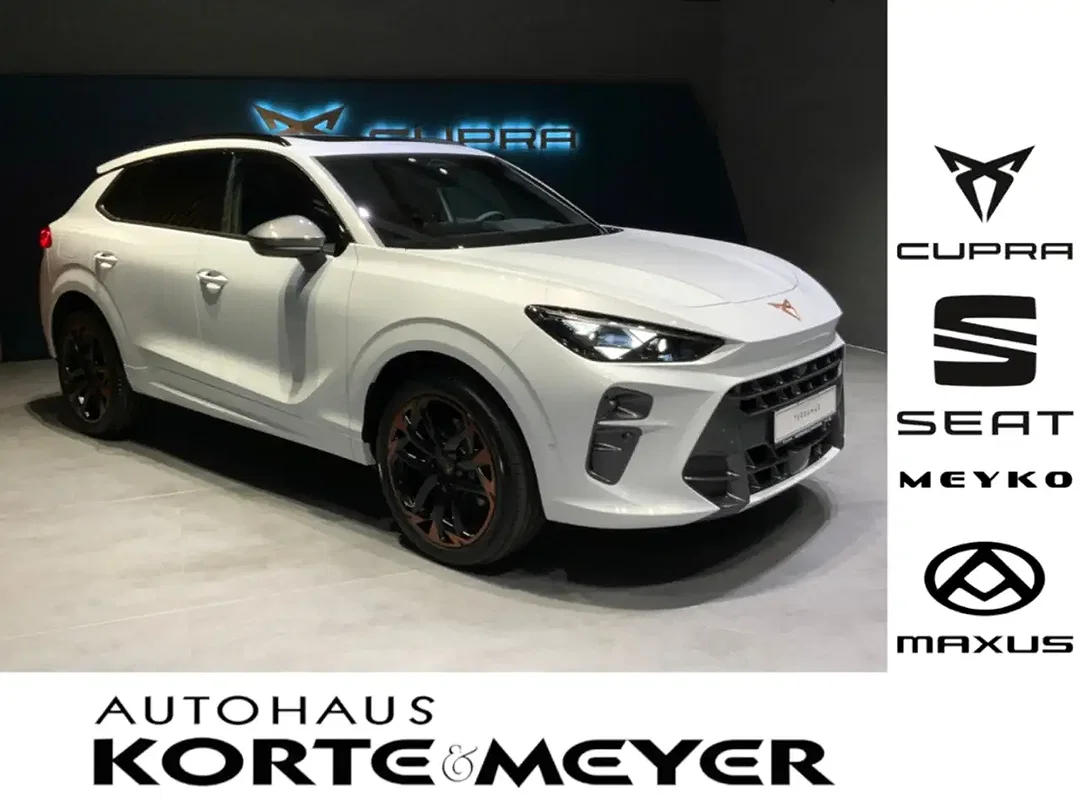 CUPRA Terramar - Afbeelding 1
