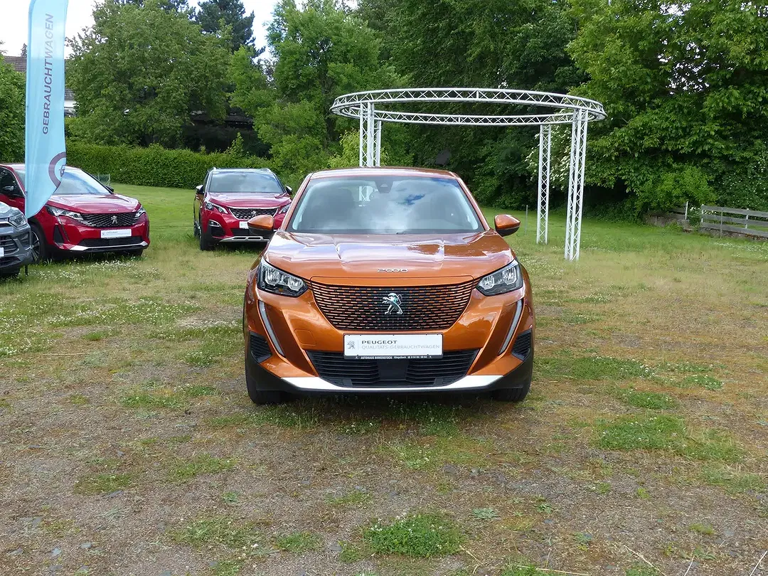 Peugeot 2008 - Thumbnail 8