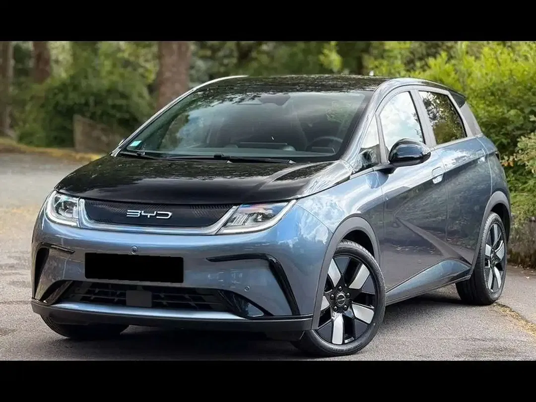 BYD Dolphin - Thumbnail 1