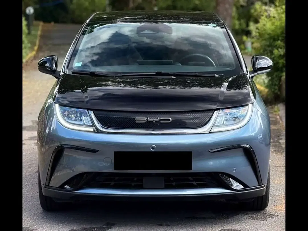 BYD Dolphin - Thumbnail 3