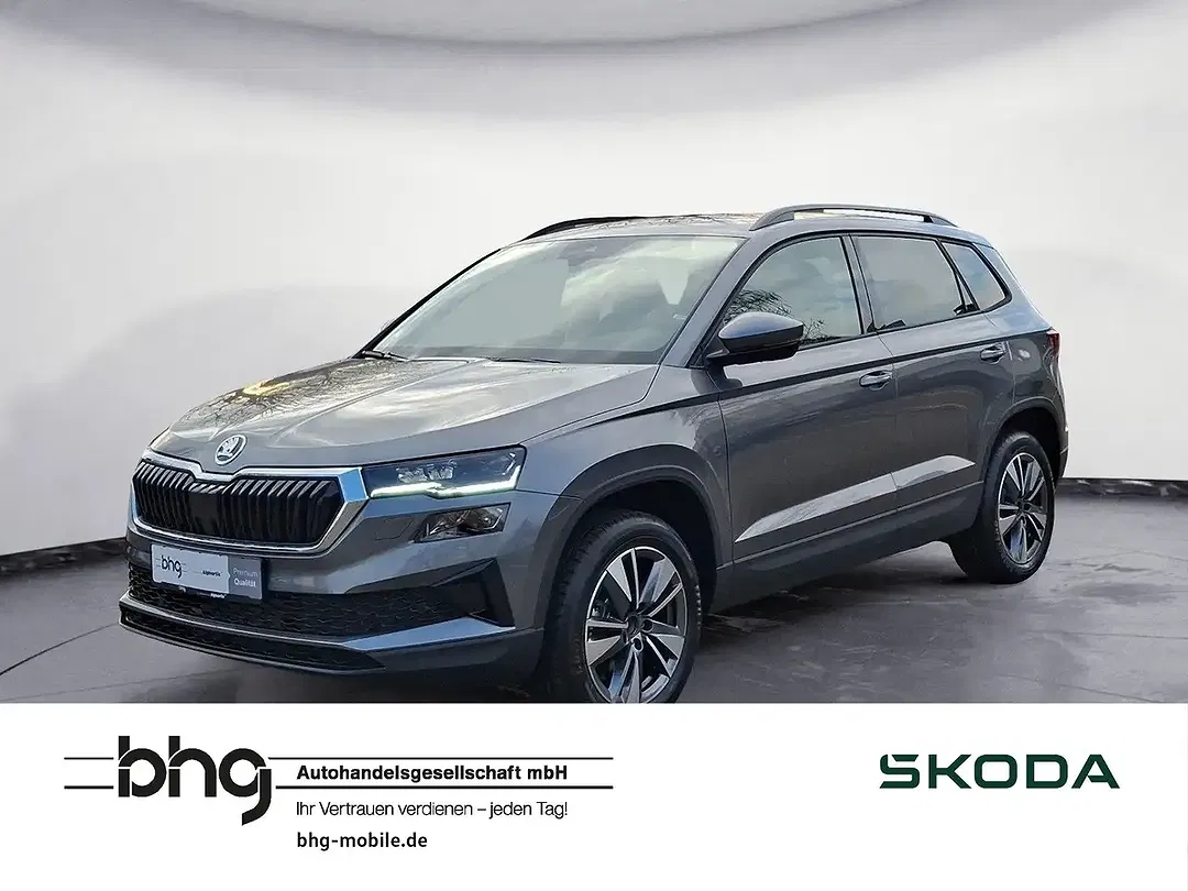 Skoda Karoq - Thumbnail 1