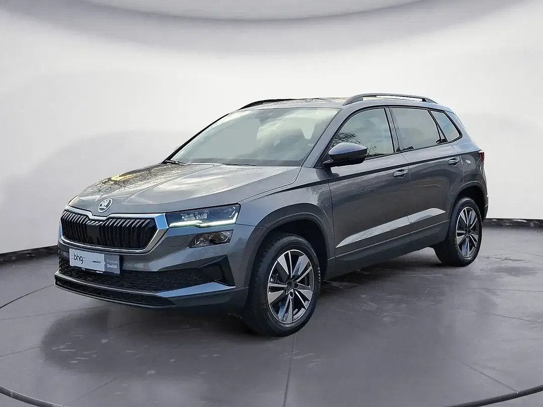 Skoda Karoq - Thumbnail 2