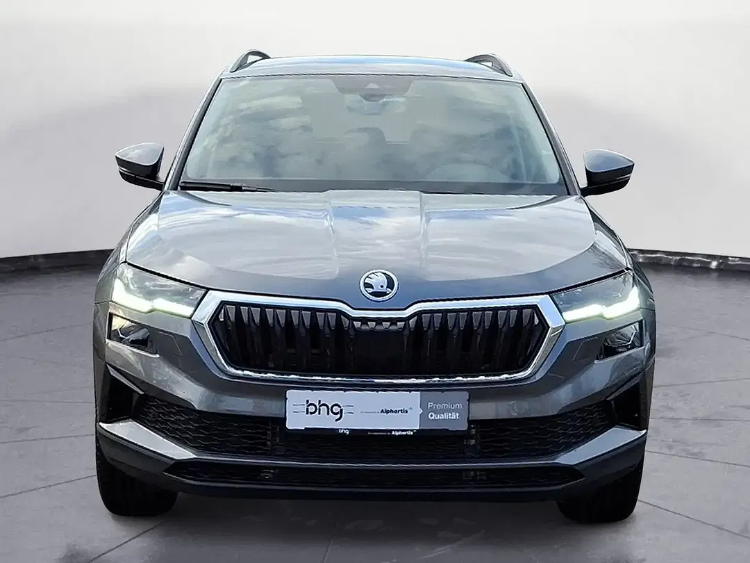 Skoda Karoq - Thumbnail 3