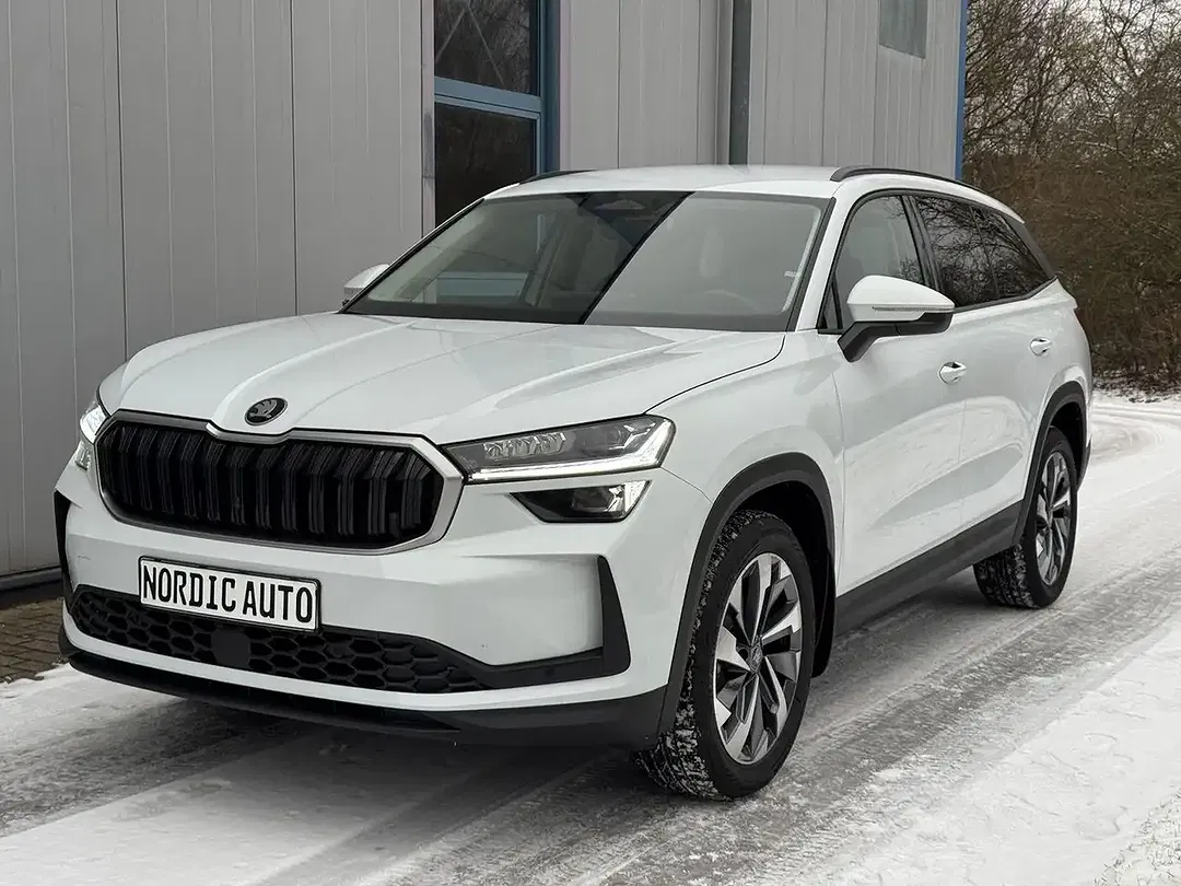 Skoda Kodiaq - Thumbnail 1