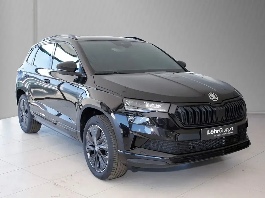 Skoda Karoq - Thumbnail 2
