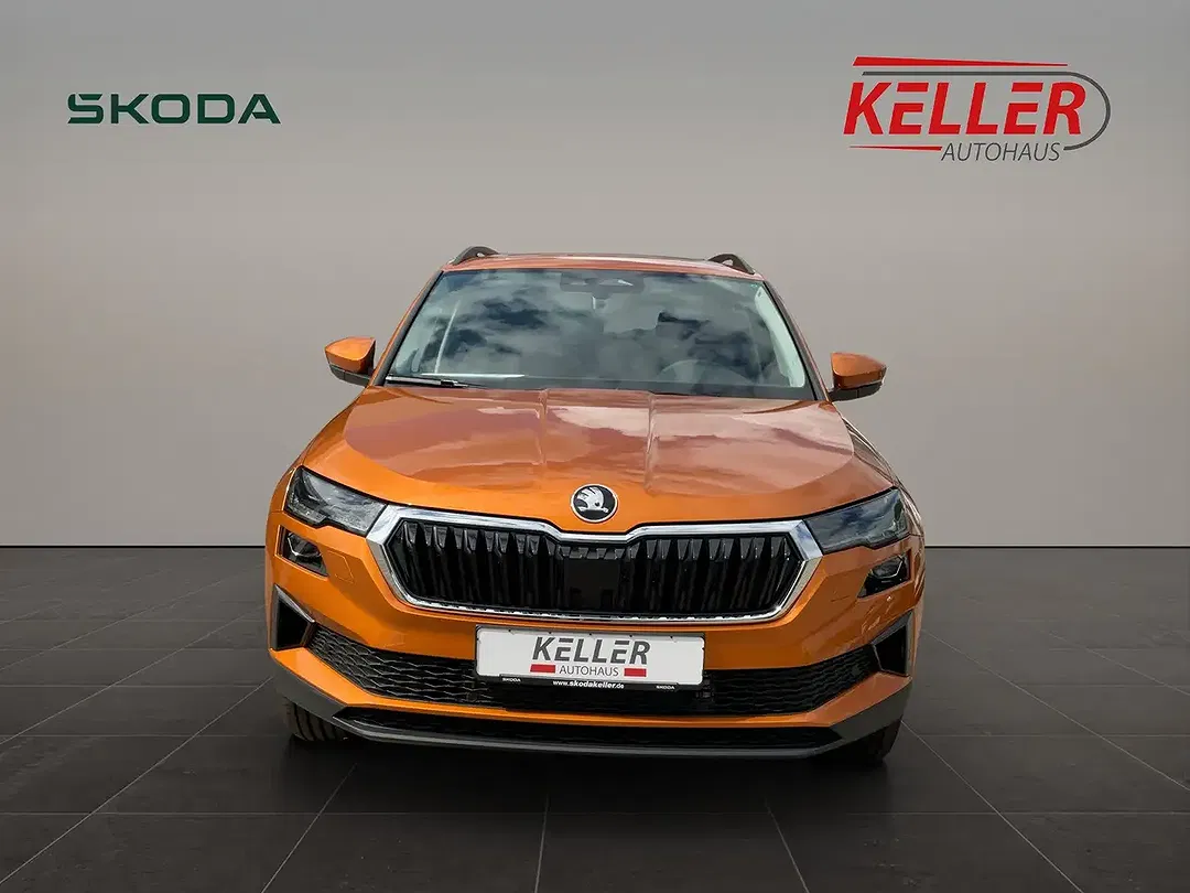 Skoda Karoq - Thumbnail 2