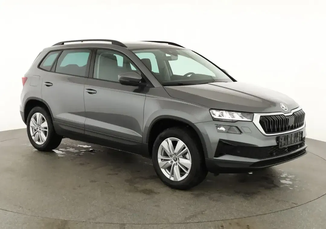 Skoda Karoq - Thumbnail 2
