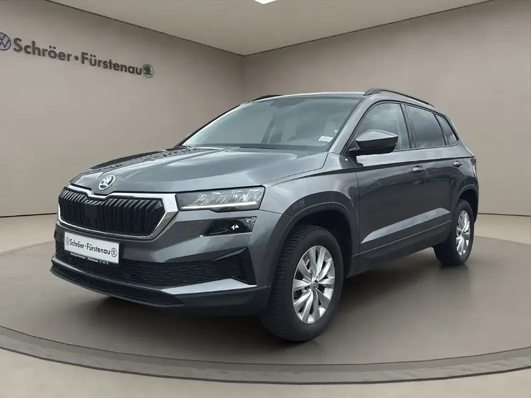 Skoda Karoq - Thumbnail 1