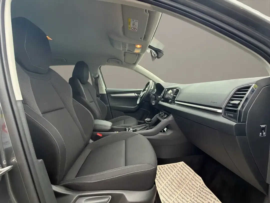 Skoda Karoq - Thumbnail 12
