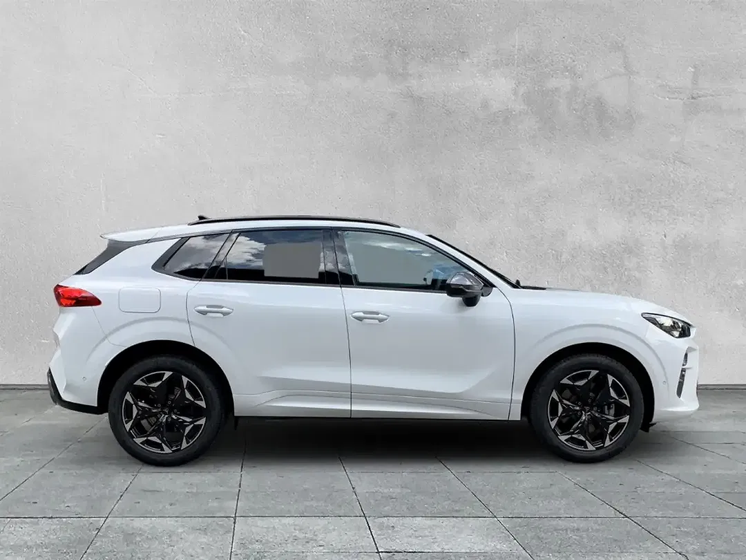 CUPRA Terramar - Thumbnail 6