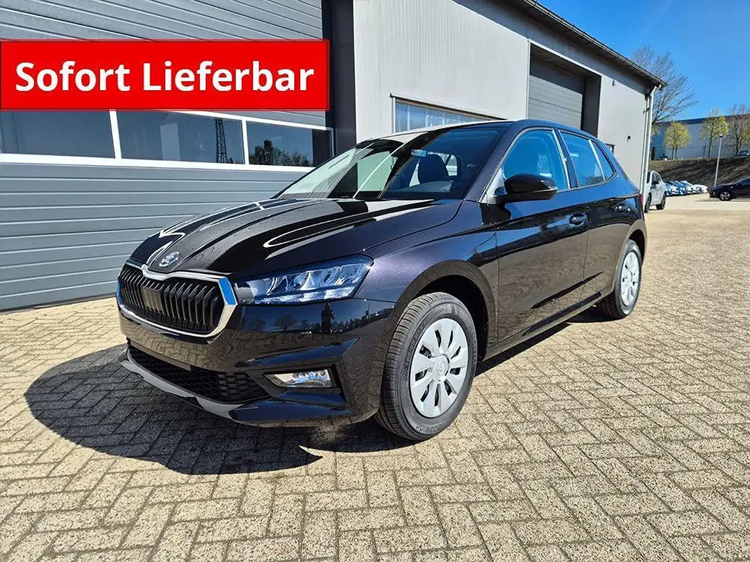 Skoda Fabia - Afbeelding 1