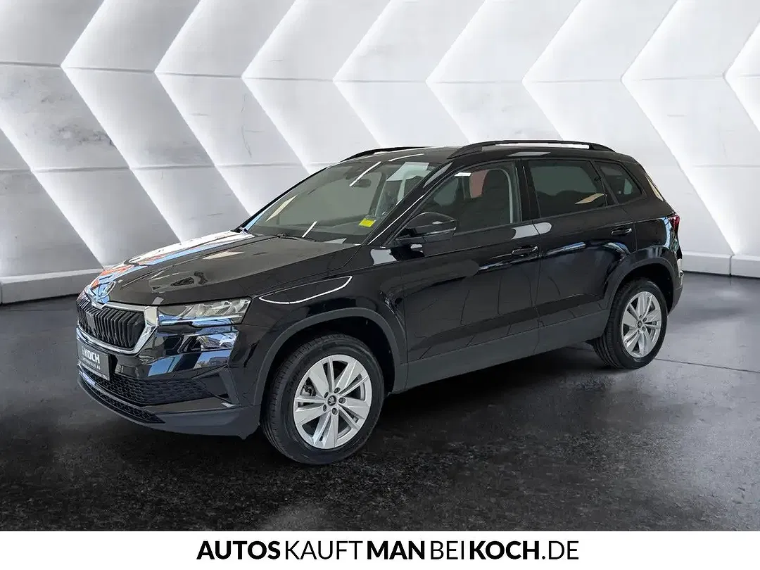Skoda Karoq - Thumbnail 1