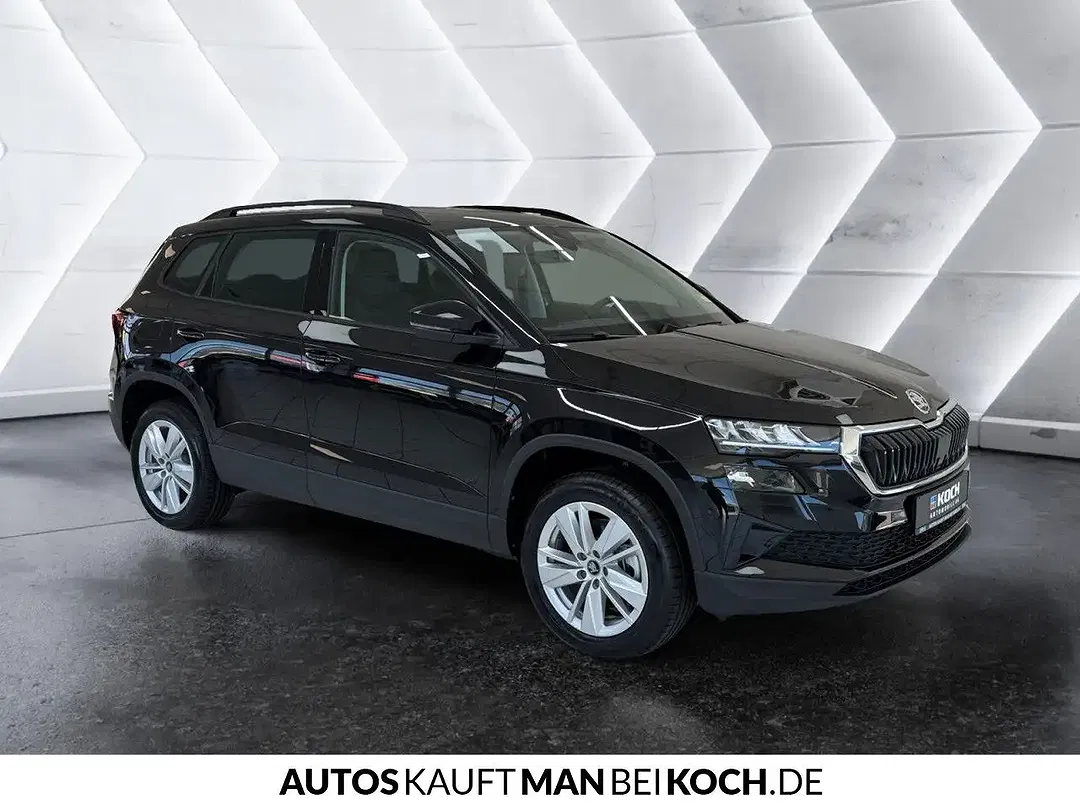 Skoda Karoq - Thumbnail 4