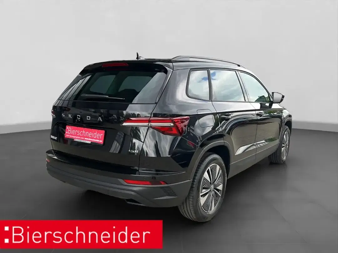 Skoda Karoq - Thumbnail 5
