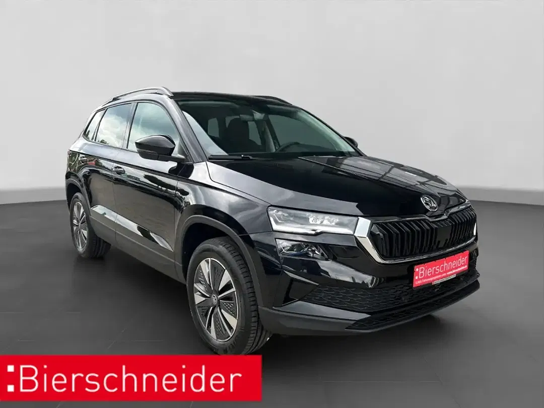Skoda Karoq - Thumbnail 8