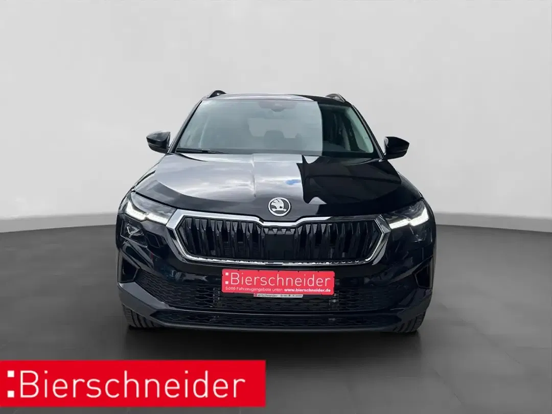 Skoda Karoq - Thumbnail 9