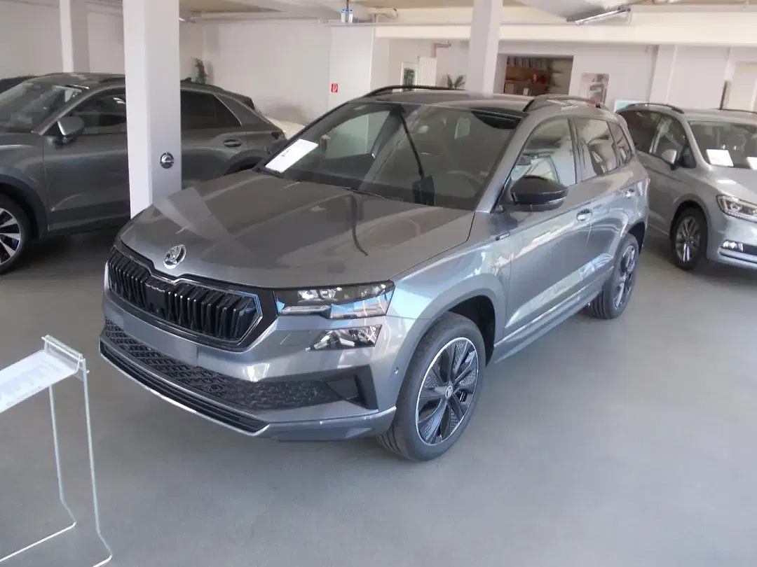 Skoda Karoq - Thumbnail 3