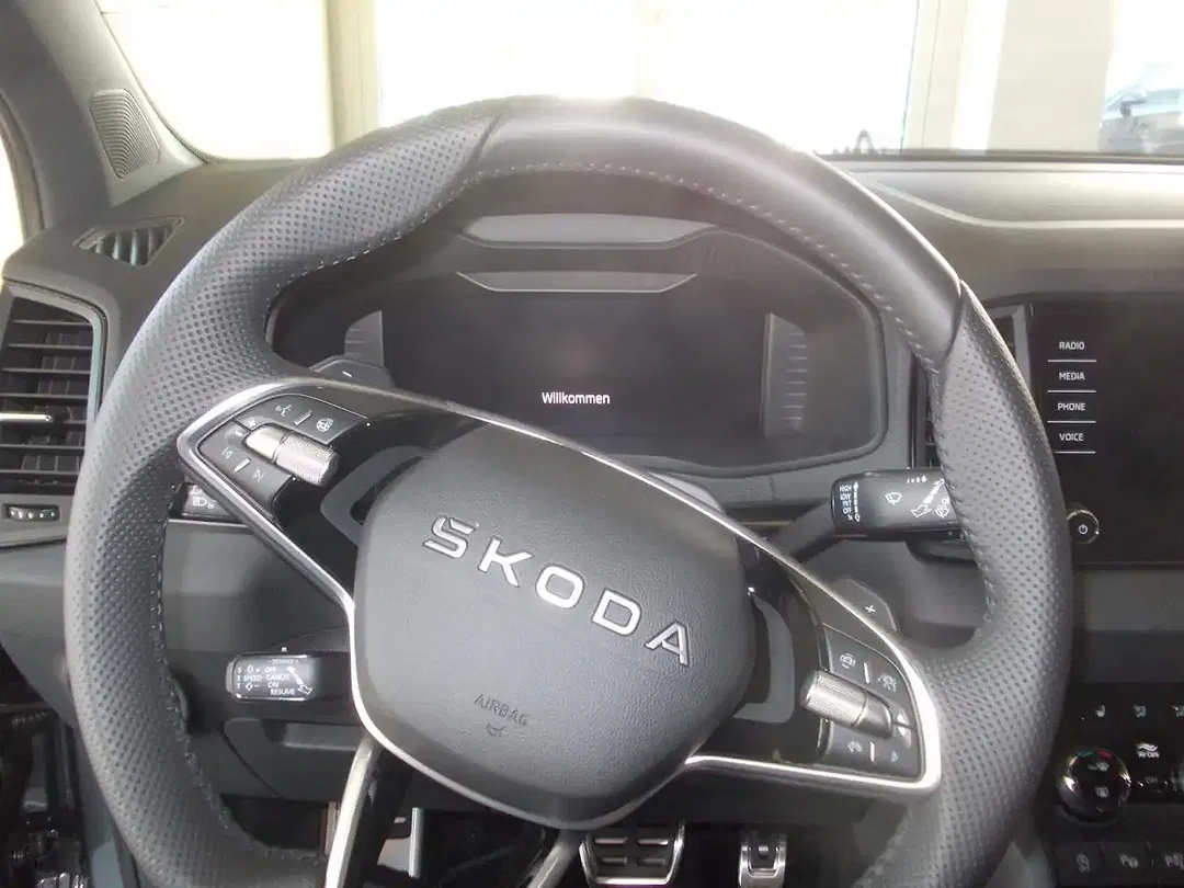 Skoda Karoq - Thumbnail 9