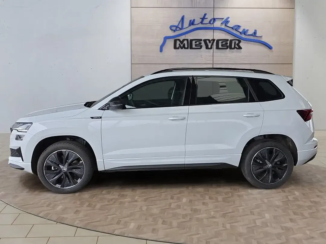 Skoda Karoq - Thumbnail 2