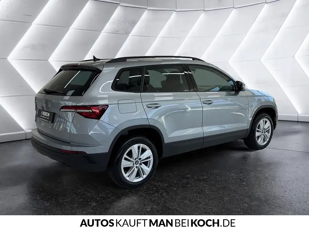 Skoda Karoq - Thumbnail 3