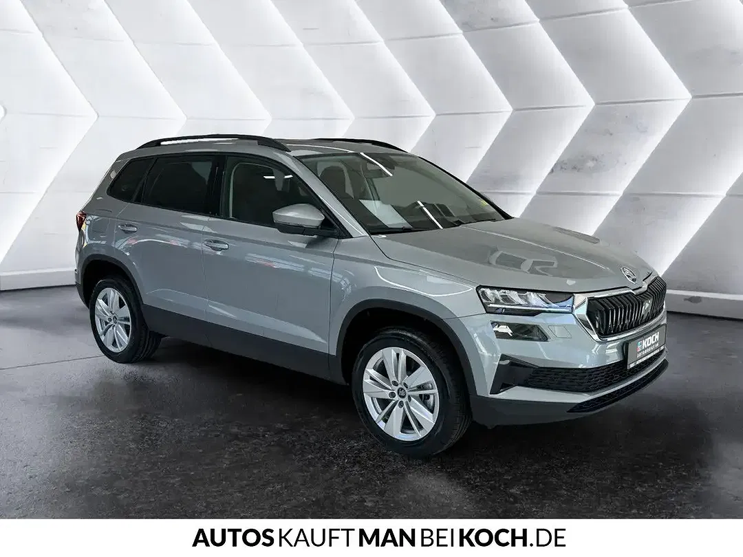Skoda Karoq - Thumbnail 4