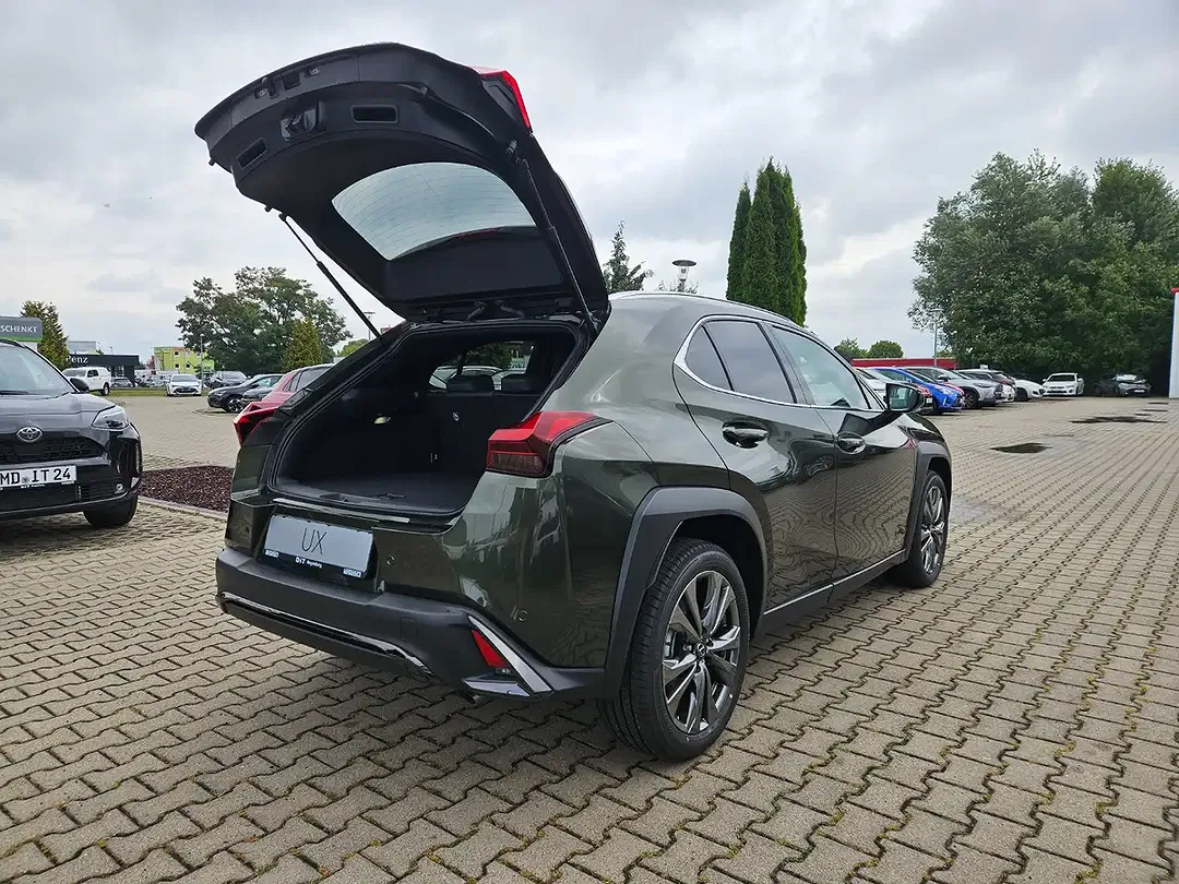 Lexus UX 300h - Thumbnail 11
