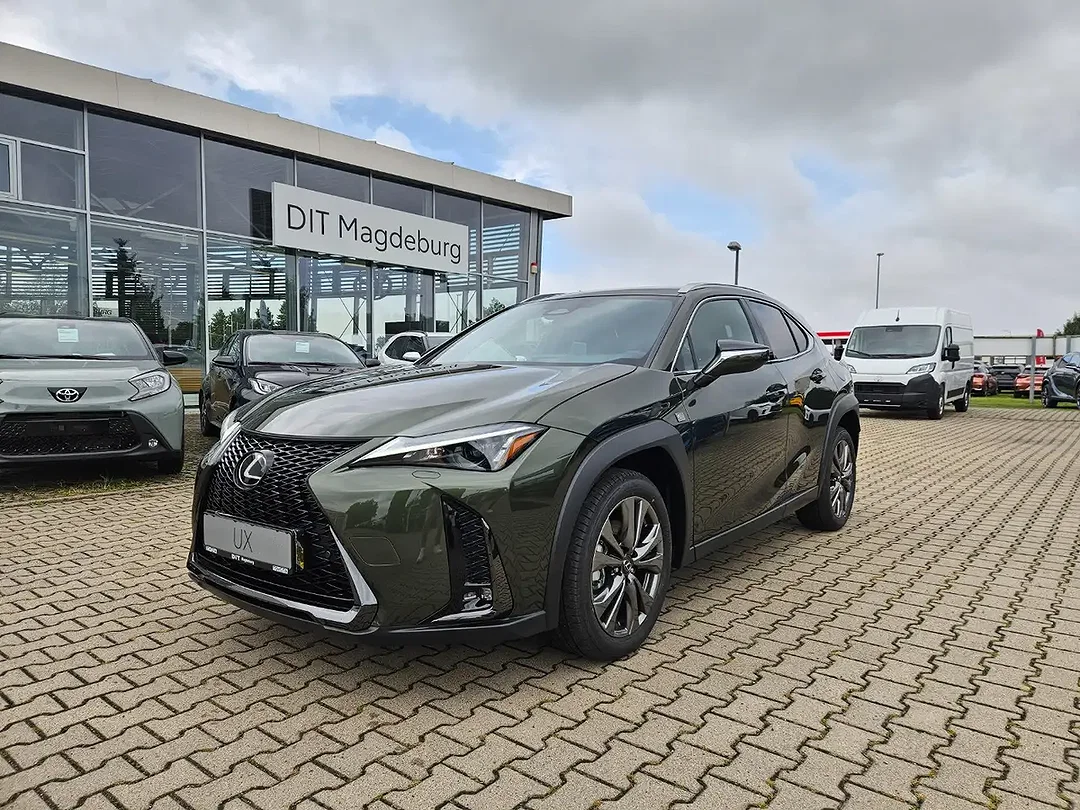 Lexus UX 300h - Afbeelding 1