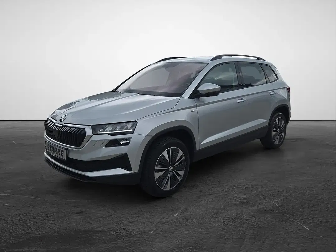 Skoda Karoq - Thumbnail 1